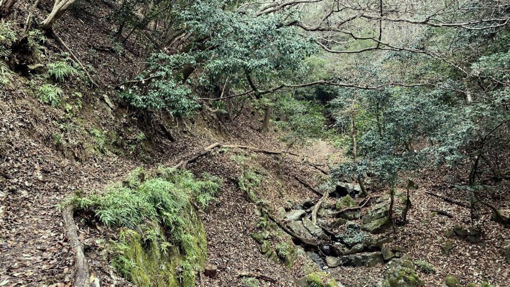 【関西低山】勝尾寺と六個山・五月山の写真14