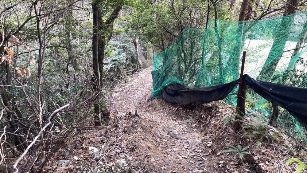 【関西低山】勝尾寺と六個山・五月山の写真16