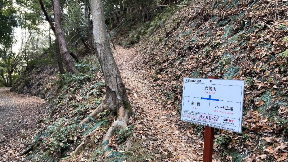 【関西低山】勝尾寺と六個山・五月山の写真18