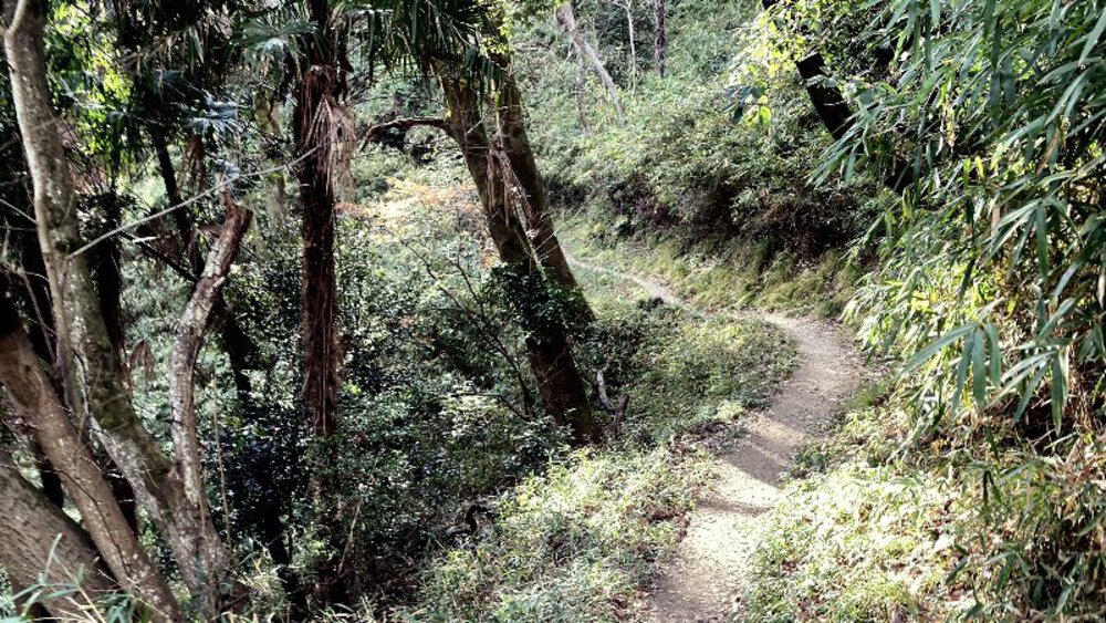 【関西低山】勝尾寺と六個山・五月山の写真24