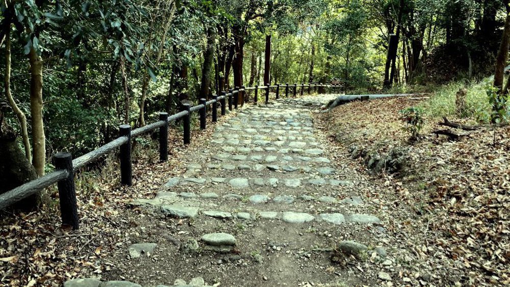 【関西低山】勝尾寺と六個山・五月山の写真26