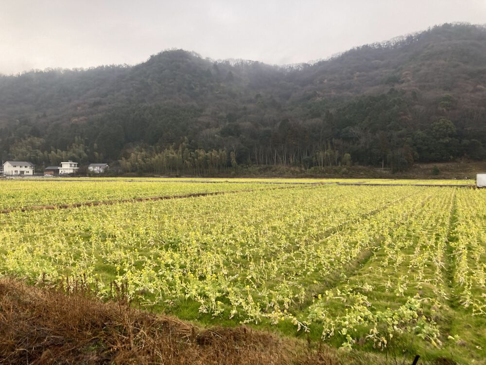 世界遺産姫路城マラソン２０２３試走コースの写真4