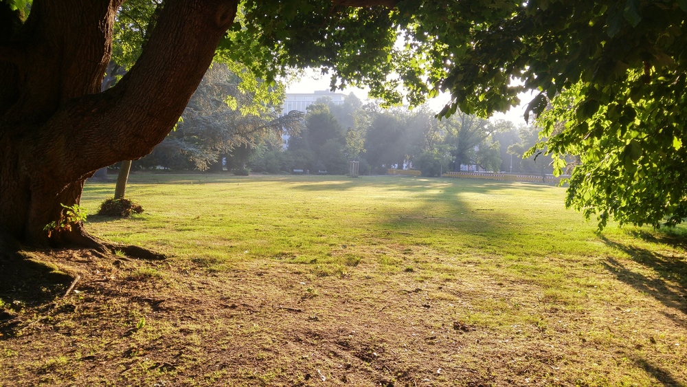 ライン川左岸のどかな街並みをゆく（デュッセルドルフ）の写真3