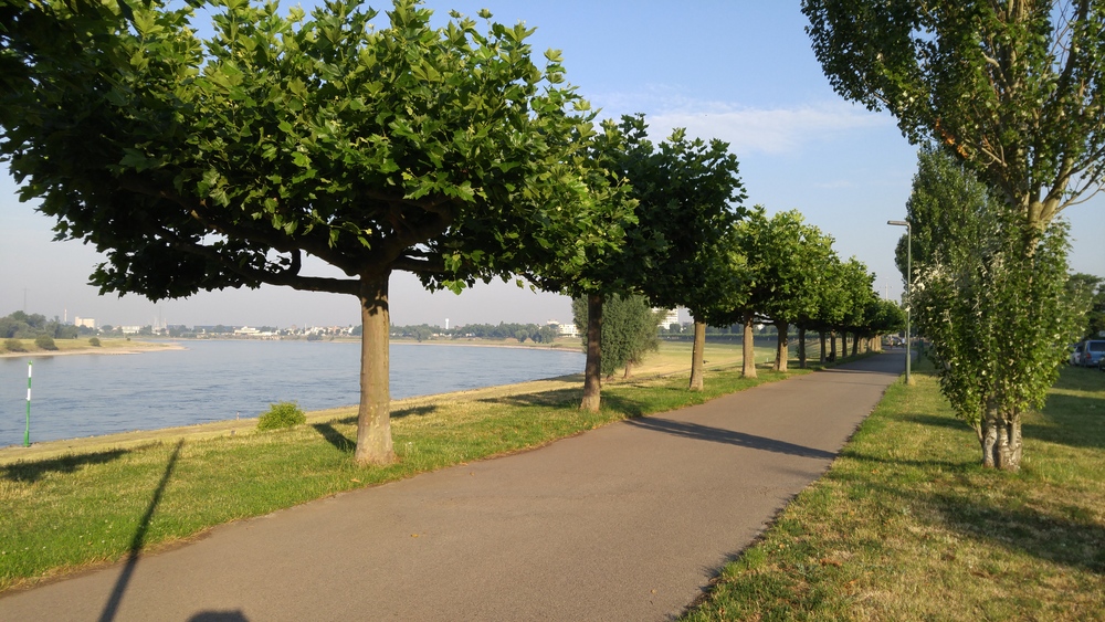 ライン川左岸のどかな街並みをゆく（デュッセルドルフ）の写真7