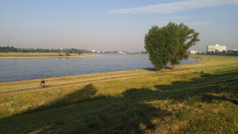 ライン川左岸のどかな街並みをゆく（デュッセルドルフ）の写真9