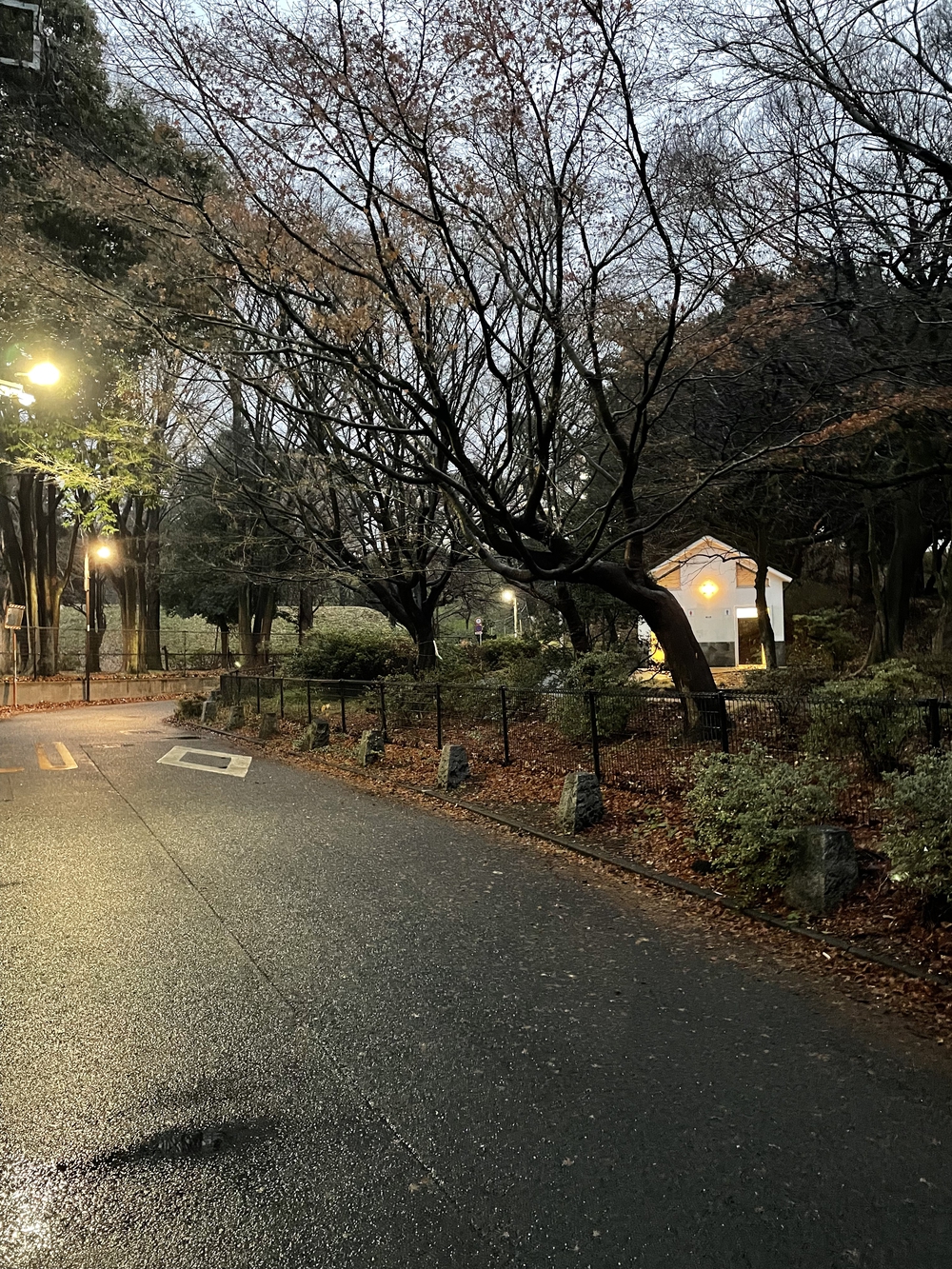新宿　戸山公園箱根山周回コースの写真3