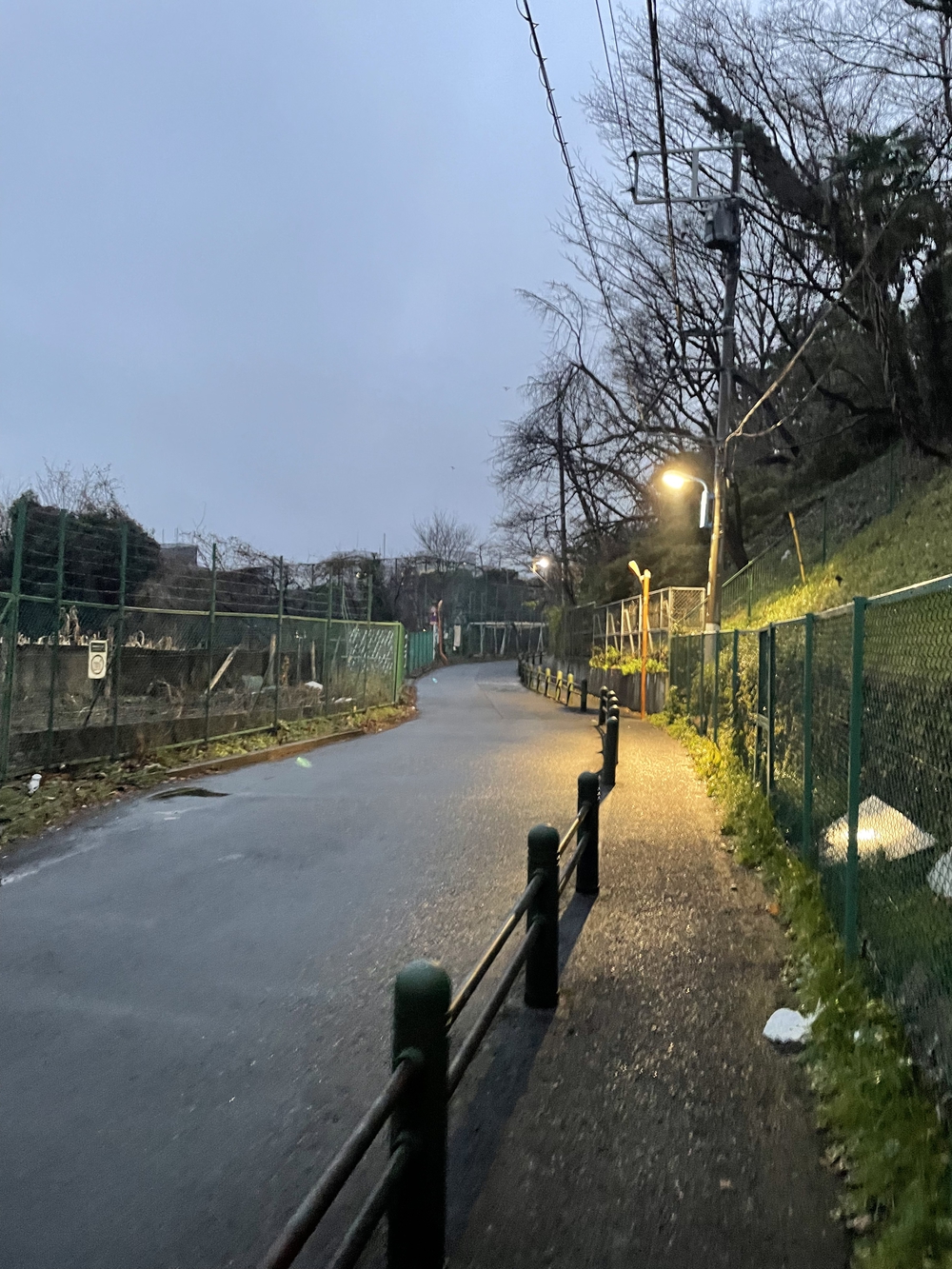 新宿　戸山公園箱根山周回コースの写真4