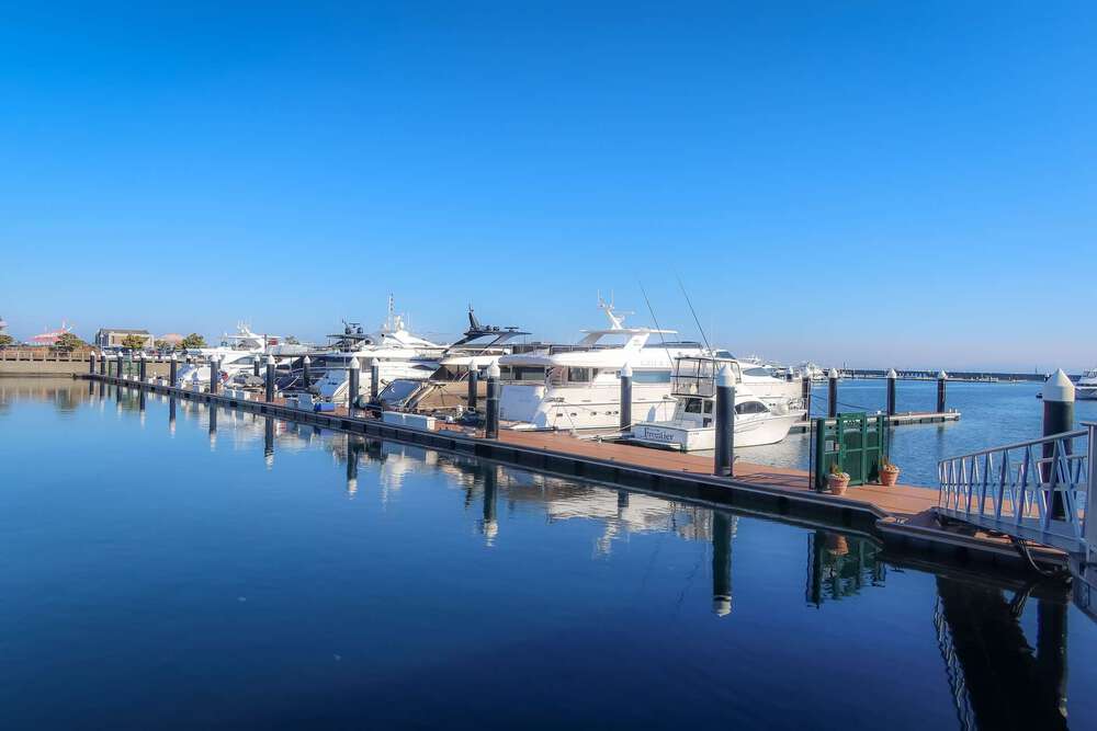 三井アウトレットパーク横浜ベイサイドと南部市場の写真6