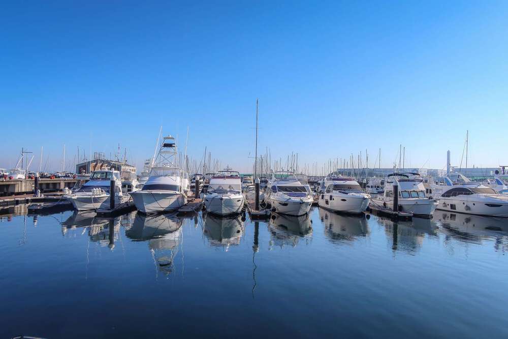 三井アウトレットパーク横浜ベイサイドと南部市場の写真12