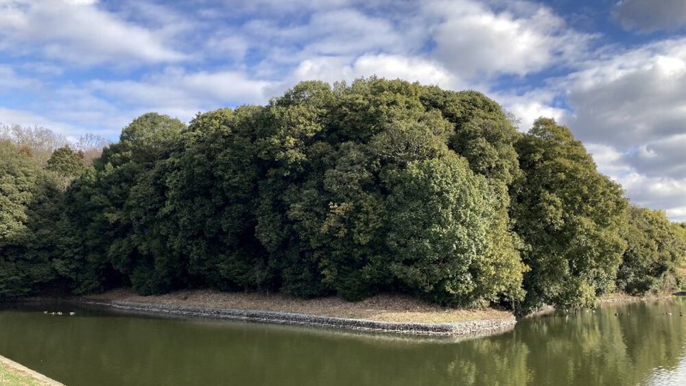 【関西低山】大和三山をゆくの写真5