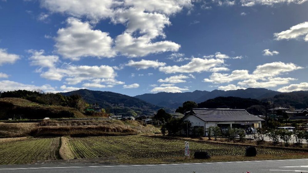 【関西低山】大和三山をゆくの写真9