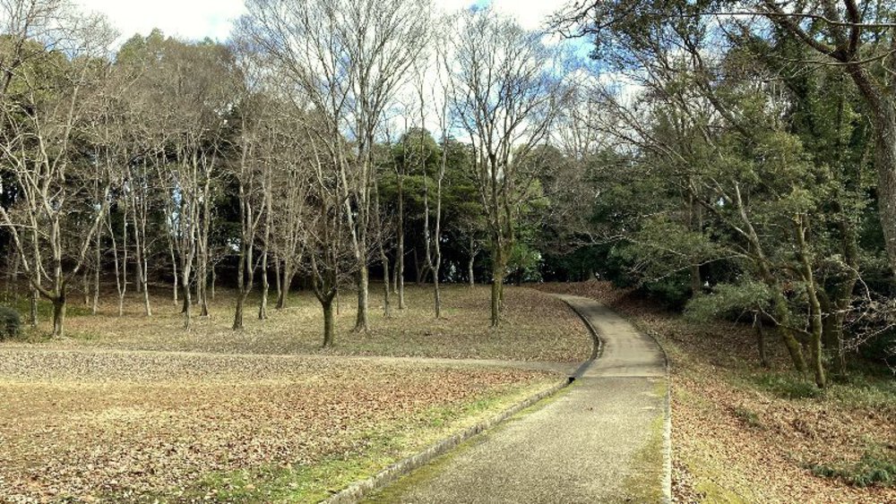 【関西低山】大和三山をゆくの写真10