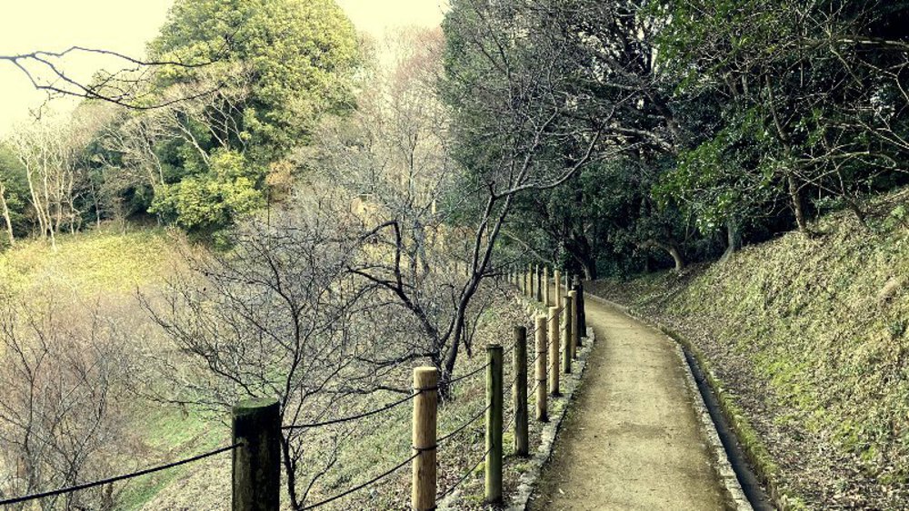 【関西低山】大和三山をゆくの写真11