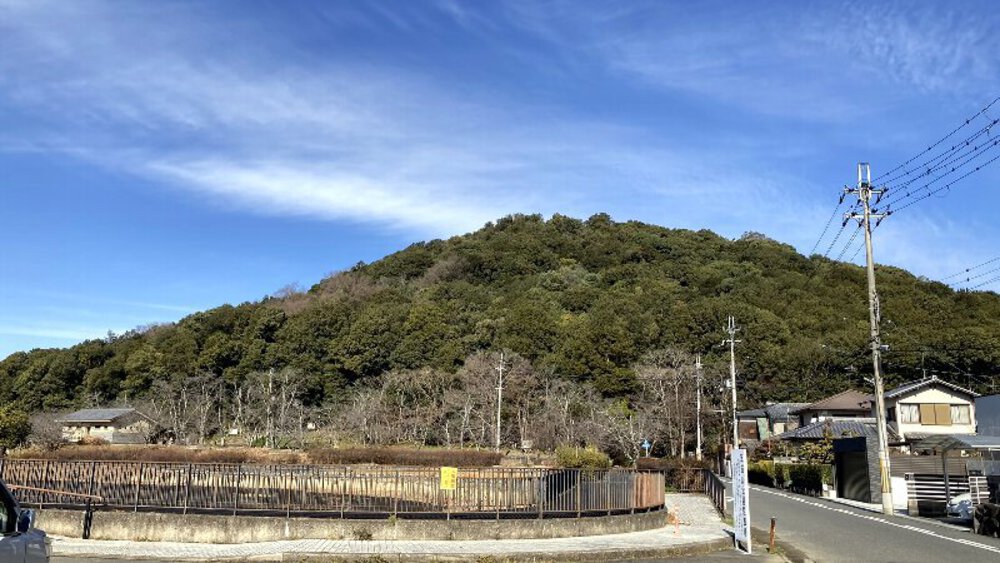 【関西低山】大和三山をゆくの写真21