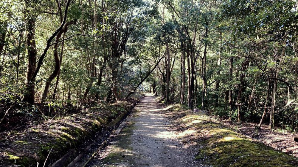 【関西低山】大和三山をゆくの写真28