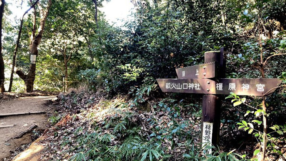 【関西低山】大和三山をゆくの写真31