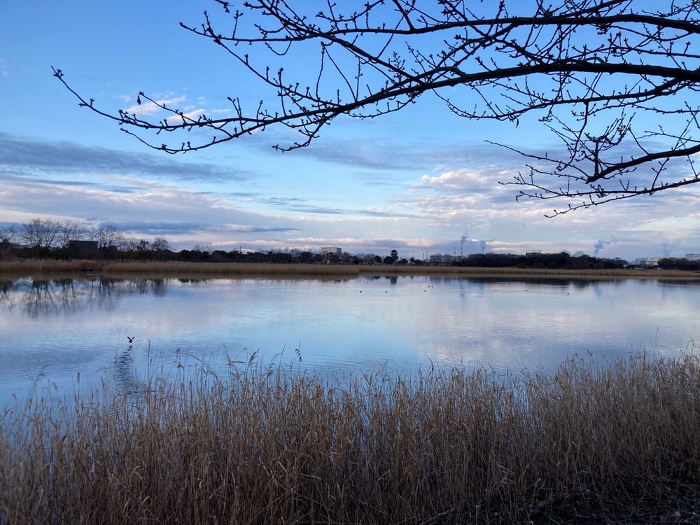 浦安総合公園（岡山総合文化体育館）〜岡南空港周辺ランニングの写真4