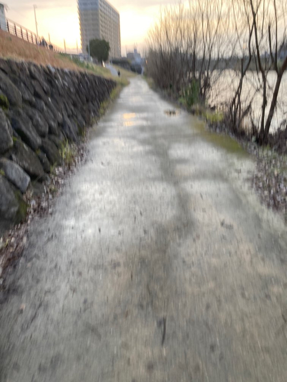 博多の那珂川沿〜竹下駅〜高木橋をランニングの写真3