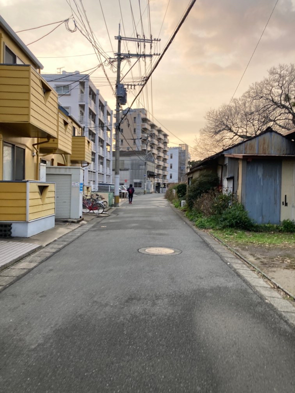博多の那珂川沿〜竹下駅〜高木橋をランニングの写真4