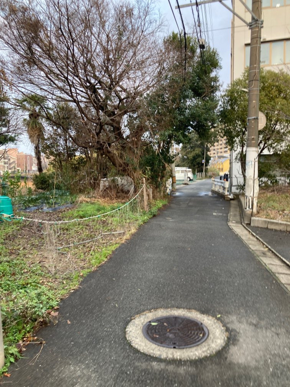 博多の那珂川沿〜竹下駅〜高木橋をランニングの写真5