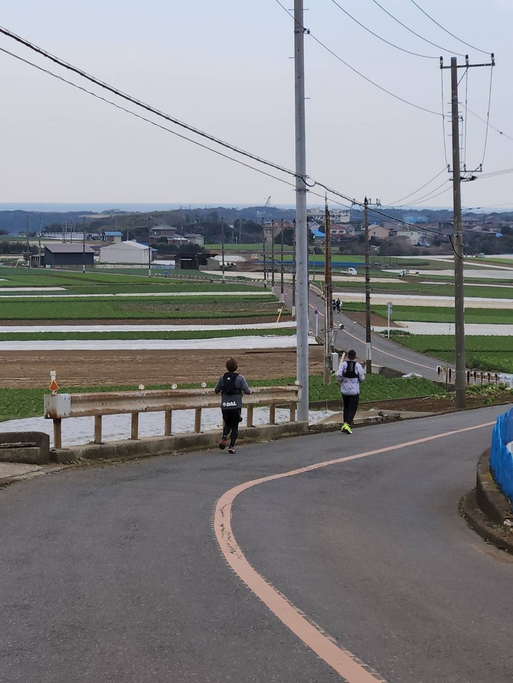 三浦国際市民マラソン　試走の写真3
