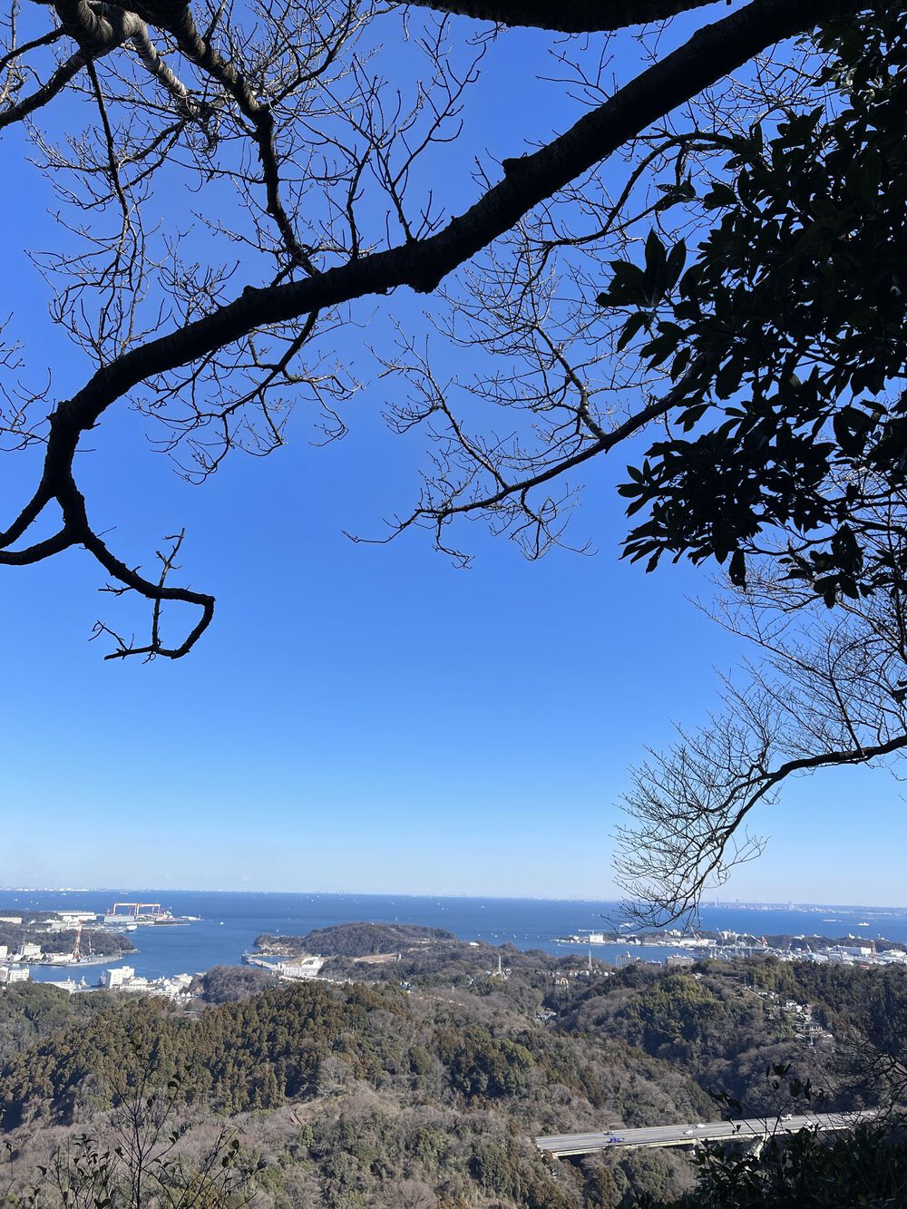 三浦アルプス南尾根縦走の写真3