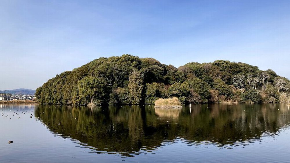 【ナライチ】❷新大宮駅▶富雄駅の写真10