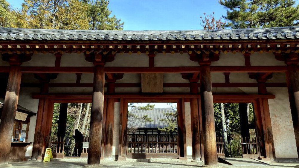 【ナライチ】❷新大宮駅▶富雄駅の写真11