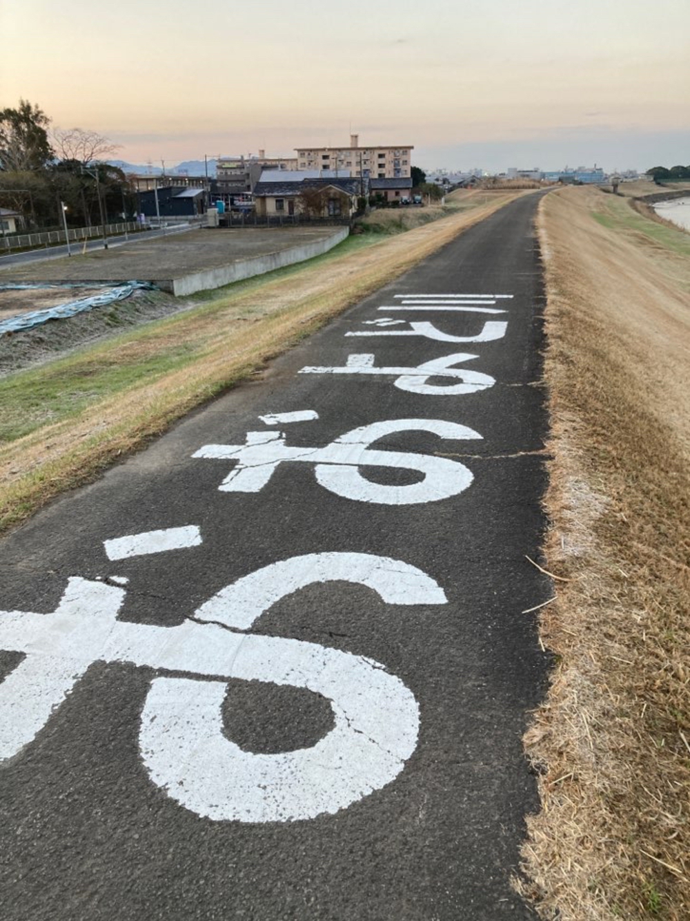 都城駅〜大淀川沿いランニング(宮崎県都城市)の写真4