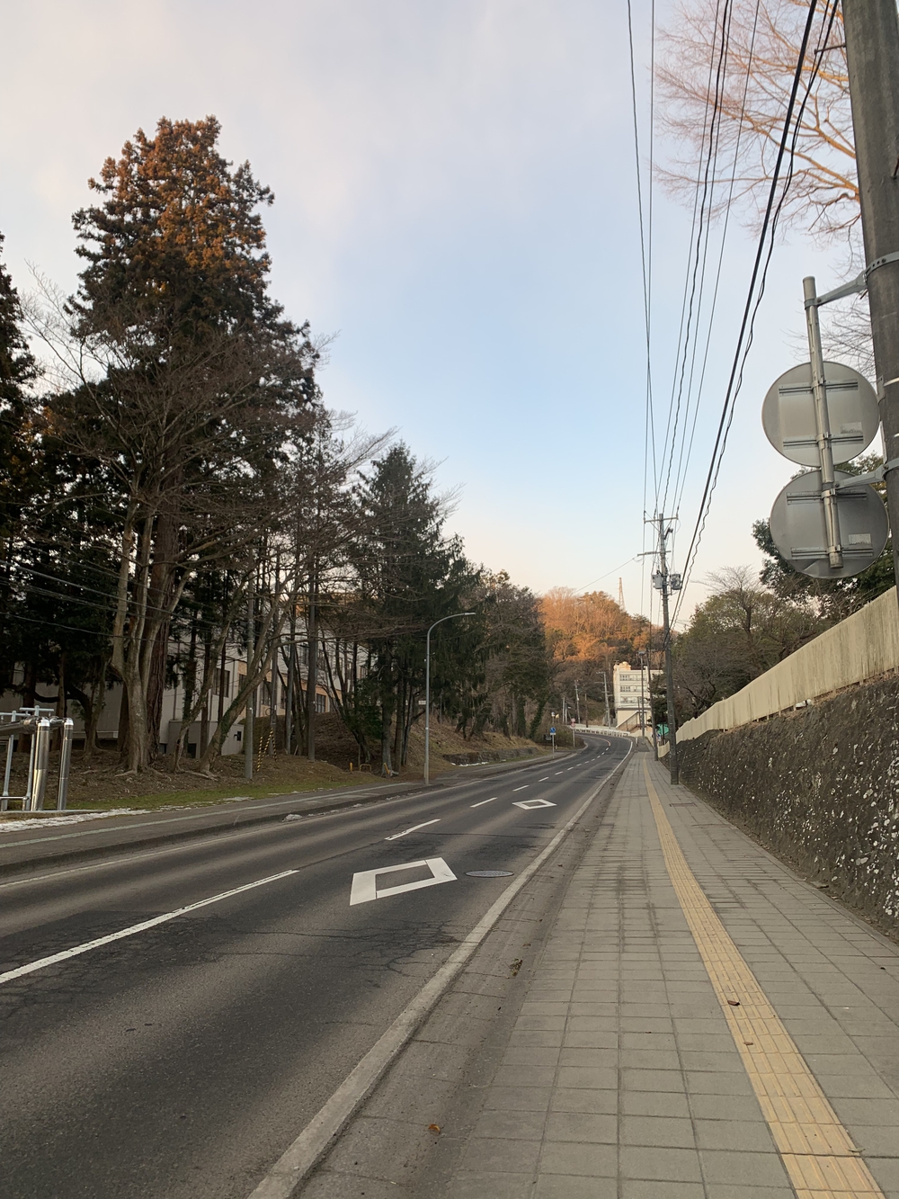 仙台城＋青葉山周回の写真8