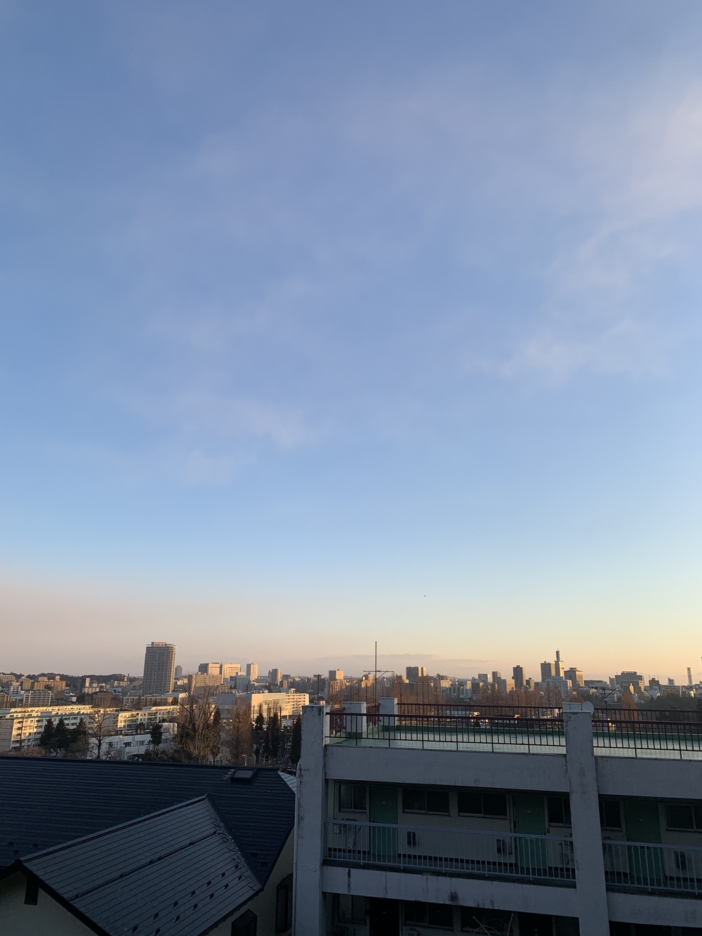 仙台城＋青葉山周回の写真9