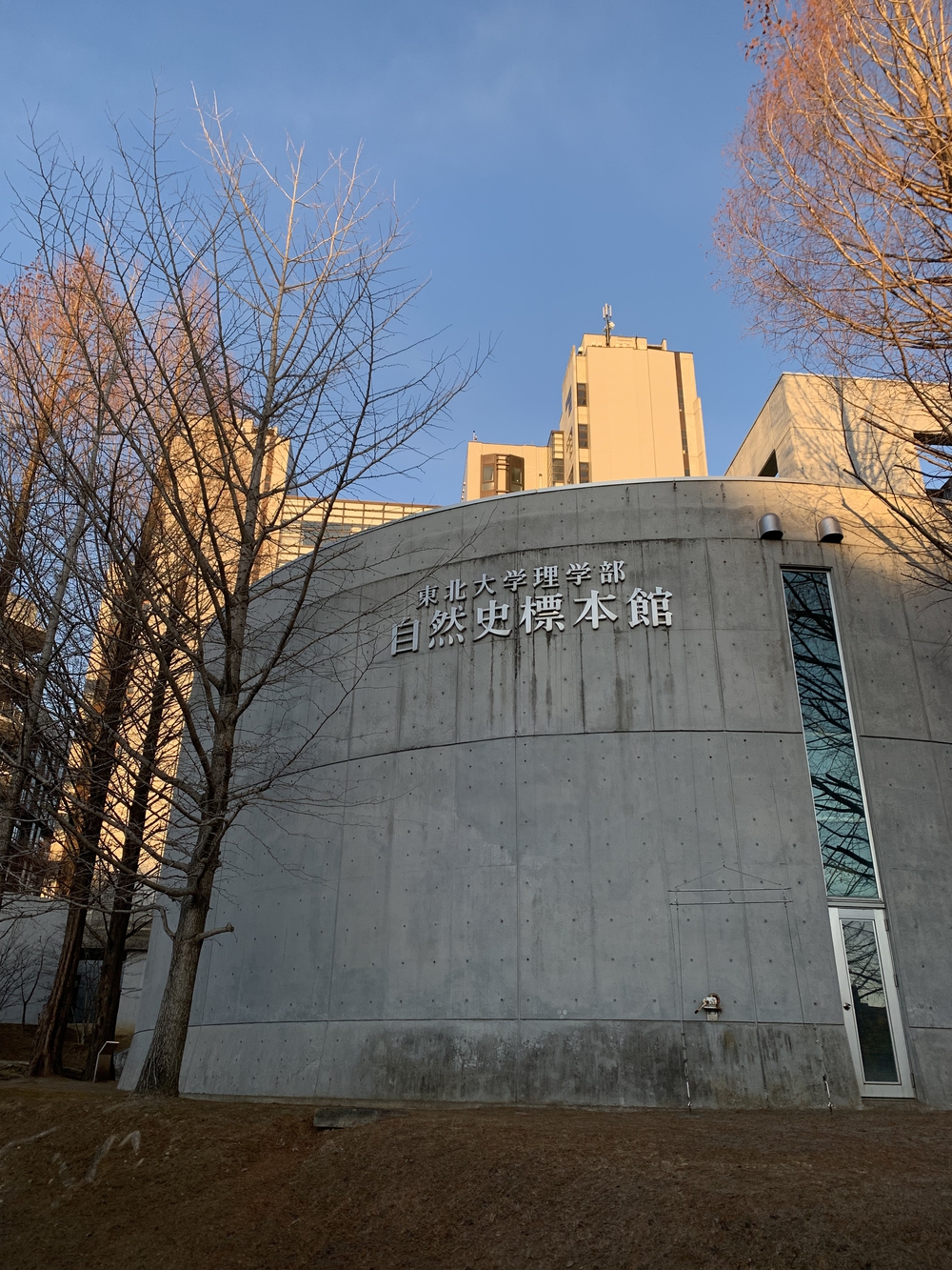 仙台城＋青葉山周回の写真10