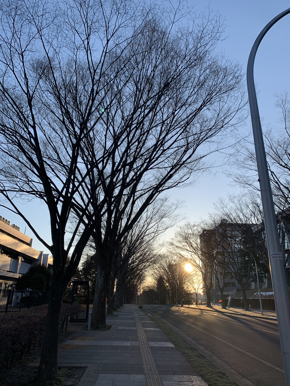 仙台城＋青葉山周回の写真13