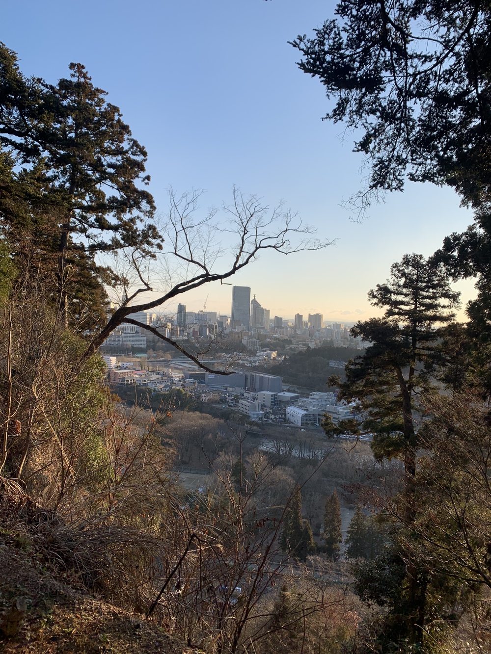仙台城＋青葉山周回の写真16