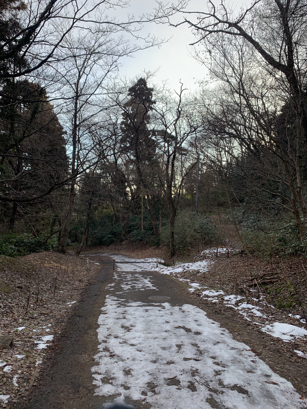 仙台城＋青葉山周回の写真19