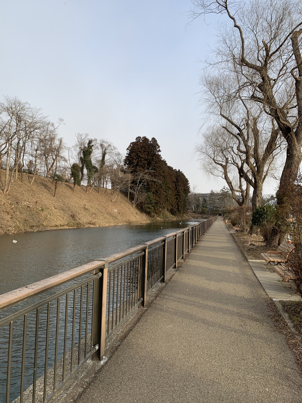 仙台城＋青葉山周回の写真22