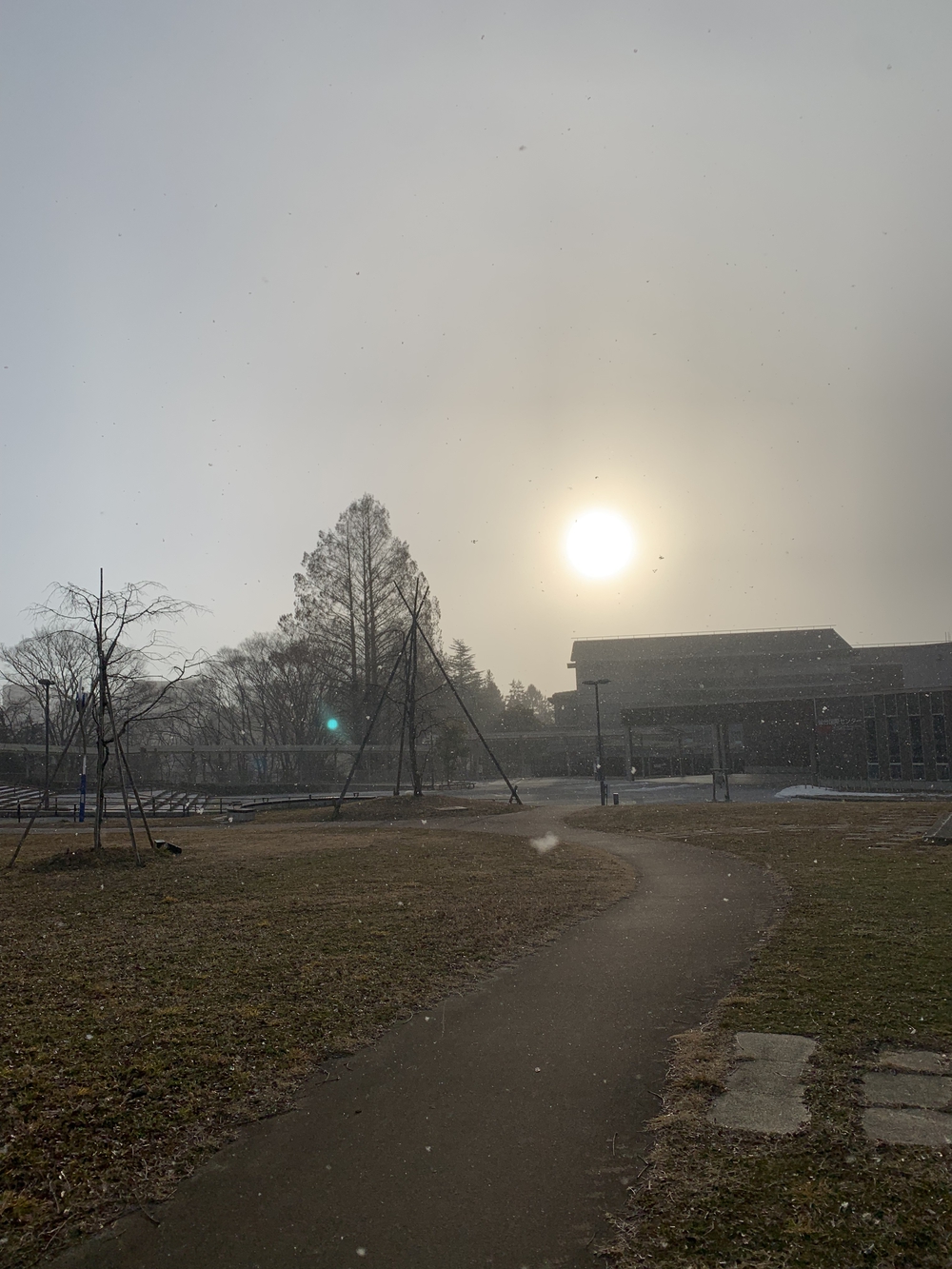 仙台城＋青葉山周回の写真25