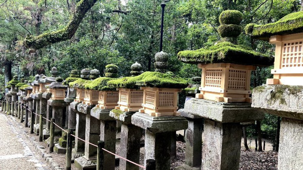 【ナライチ】❶奈良駅▶新大宮駅の写真8