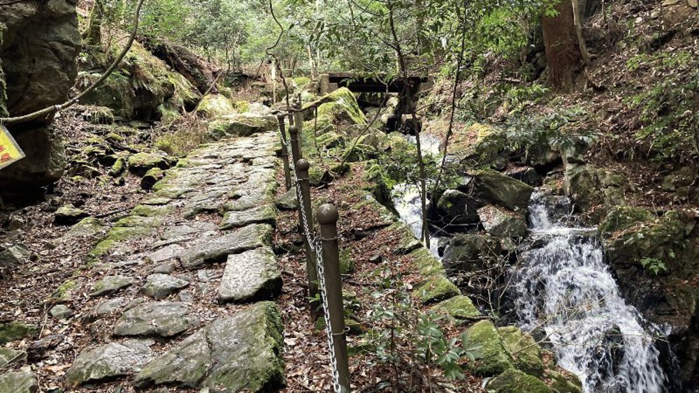 【ナライチ】❶奈良駅▶新大宮駅の写真9