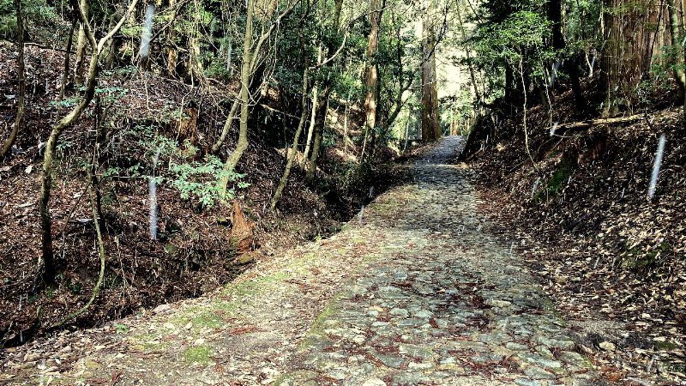 【ナライチ】❶奈良駅▶新大宮駅の写真12
