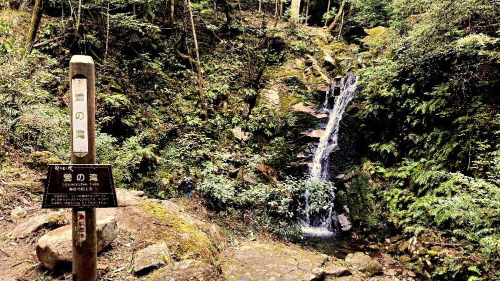 【ナライチ】❶奈良駅▶新大宮駅の写真15