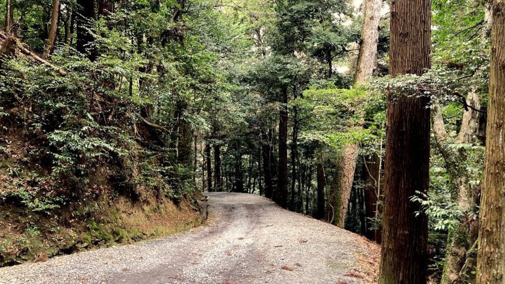 【ナライチ】❶奈良駅▶新大宮駅の写真16