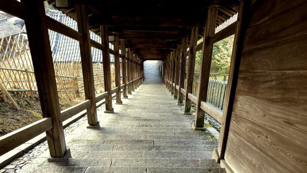 【ナライチ】❶奈良駅▶新大宮駅の写真23