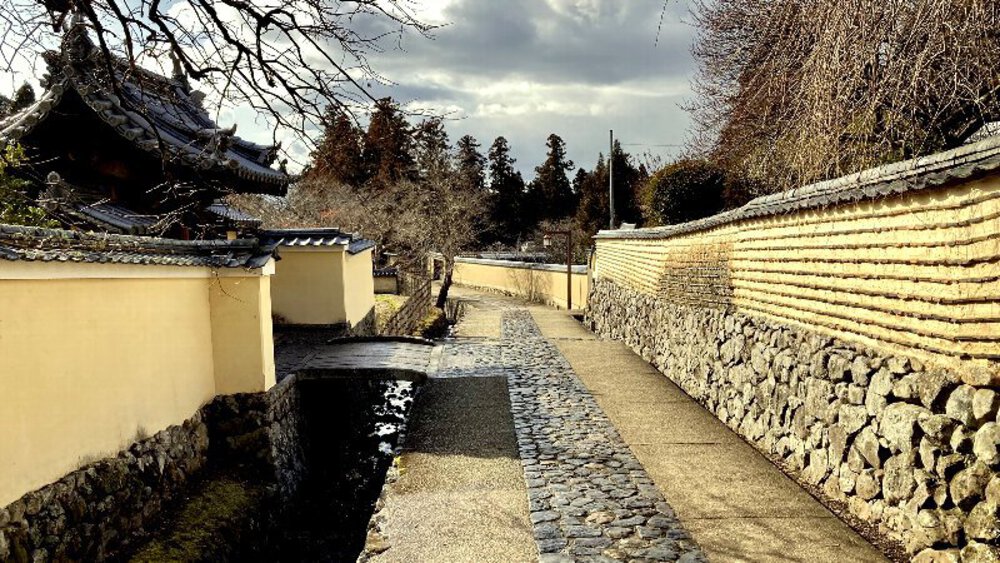 【ナライチ】❶奈良駅▶新大宮駅の写真24