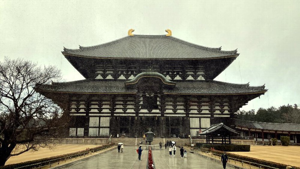 【ナライチ】❶奈良駅▶新大宮駅の写真26