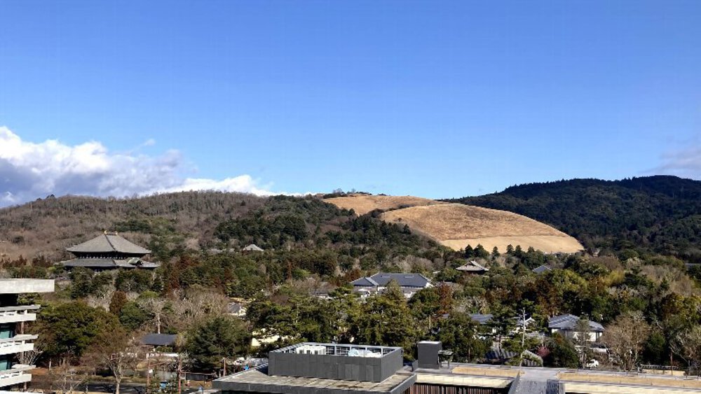 【ナライチ】❶奈良駅▶新大宮駅の写真30