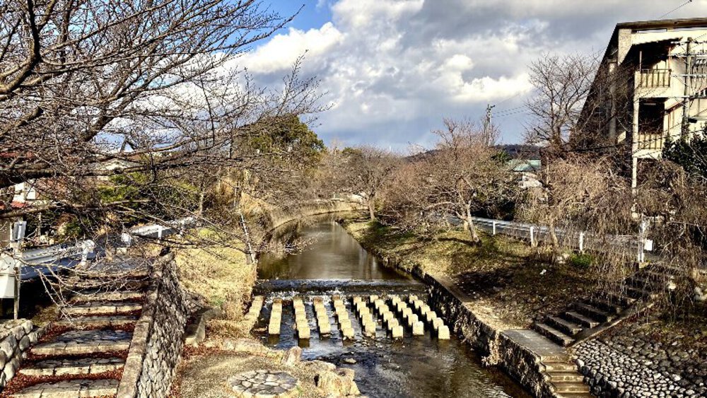 【ナライチ】❶奈良駅▶新大宮駅の写真32