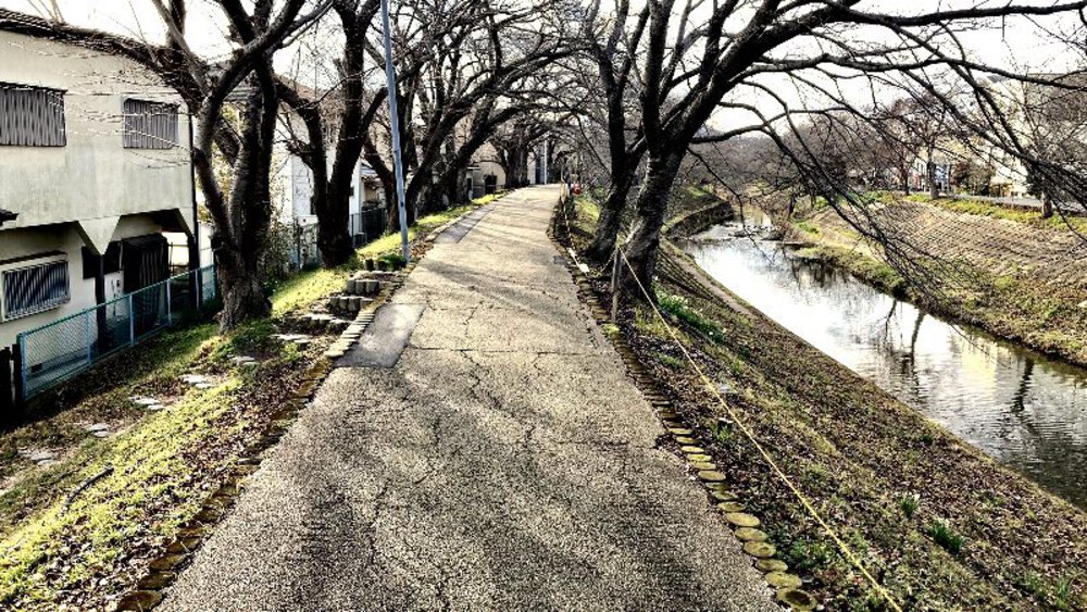 【ナライチ】❶奈良駅▶新大宮駅の写真33