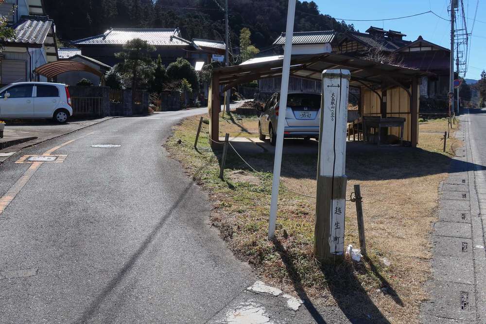 越生の梅林と大高取山トレランの写真5