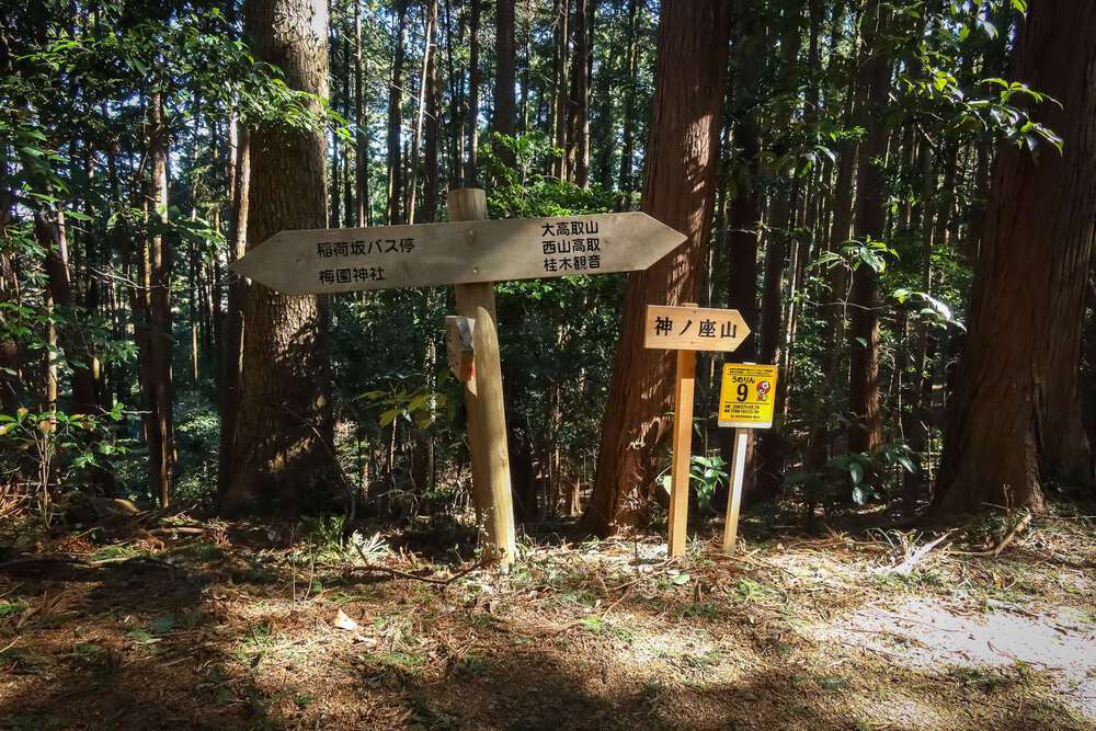 越生の梅林と大高取山トレランの写真7